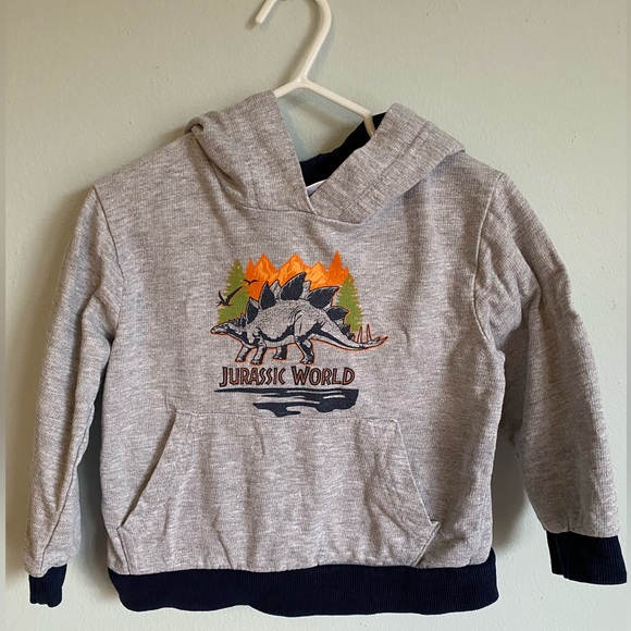 Kids Jurassic world hoodie - Picture 2 of 9